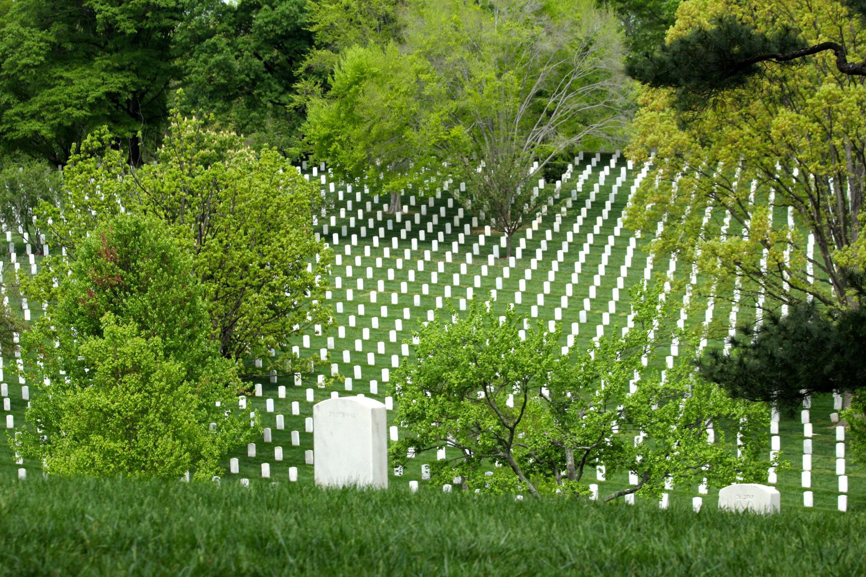Operation Enduring Gratitude